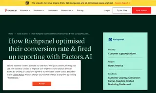 Preview of the Richpanel Case Study