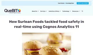 Preview of the Surlean Foods Case Study