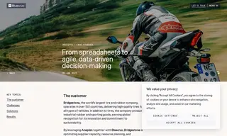 Preview of the Bridgestone Case Study