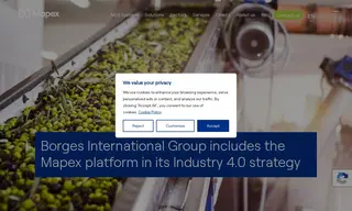 Preview of the Borges International Group Case Study