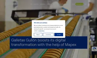 Preview of the Galletas Gullón Case Study