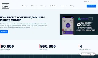 Preview of the Biscuit Case Study