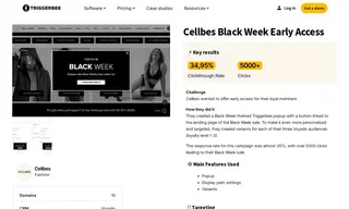 Preview of the Cellbes Case Study