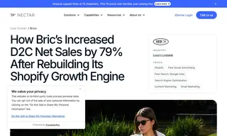 Preview of the Bric’s Case Study