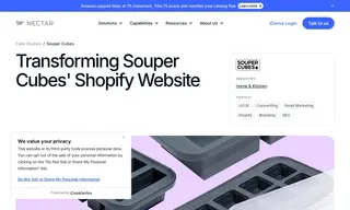 Preview of the Souper Cubes Case Study