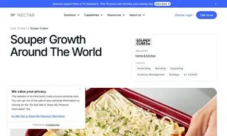 Preview of the Souper Cubes Case Study