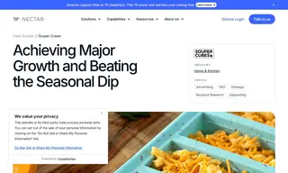 Preview of the Souper Cubes Case Study