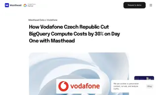 Preview of the Vodafone Czech Republic Case Study