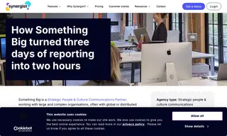 Preview of the Something Big Case Study
