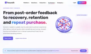Preview of the Domino’s Pizza Case Study