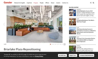 Preview of the BriarLake Plaza Case Study