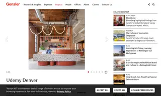 Preview of the Udemy Case Study