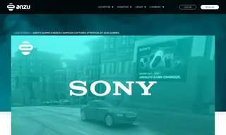 Preview of the Sony Case Study