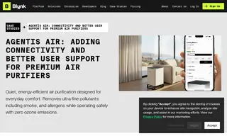 Preview of the Agentis Air Case Study