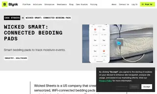 Preview of the Wicked Sheets Case Study