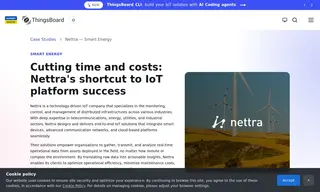 Preview of the Nettra Case Study