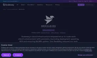 Preview of the Medialeads Case Study