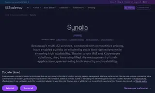 Preview of the Synolia Case Study