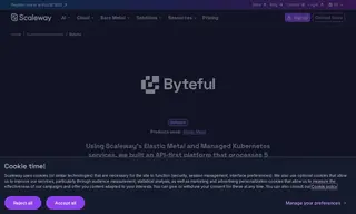 Preview of the Byteful Case Study