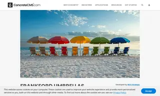 Preview of the Frankford Umbrellas Case Study