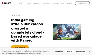Preview of the Blinkmoon Case Study