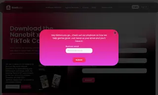 Preview of the Nanobit Case Study