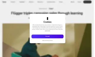 Preview of the Flugger Case Study