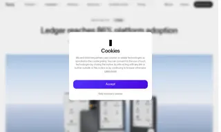 Preview of the Ledger Case Study