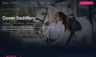 Preview of the Dover Saddlery Case Study
