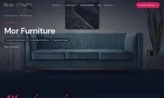 Preview of the Mor Furniture Case Study
