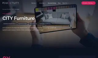 Preview of the City Furniture Case Study