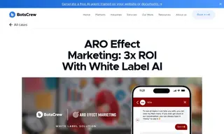 Preview of the ARO Effect Marketing LLC Case Study