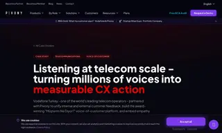 Preview of the Vodafone Turkey Case Study