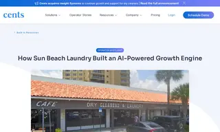 Preview of the Sun Beach Laundry Case Study