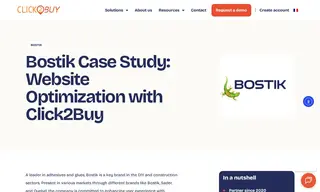 Preview of the Bostik Case Study