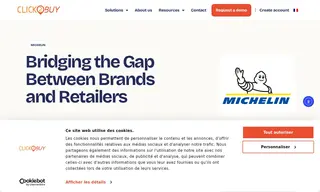 Preview of the Michelin Case Study