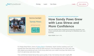 Preview of the Sandy Paws Case Study