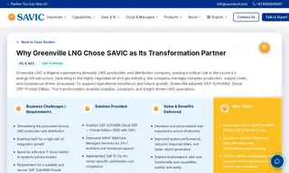 Preview of the Greenville LNG Case Study