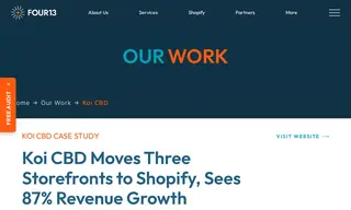 Preview of the Koi Case Study