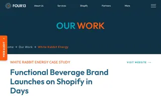 Preview of the White Rabbit Energy Case Study