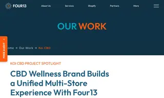 Preview of the Koi Case Study