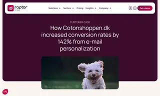 Preview of the Cotonshoppen.dk Case Study