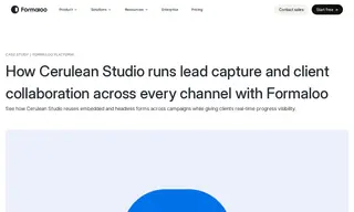 Preview of the Cerulean Studio Case Study