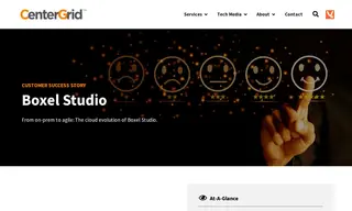 Preview of the Boxel Studio Case Study