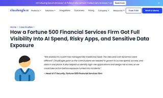 Preview of the Fortune 500 Financial Services Firm Case Study