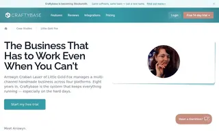 Preview of the Little Gold Fox Designs Case Study