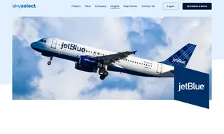 Preview of the JetBlue Airways Case Study
