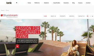 Preview of the Bluestream Case Study