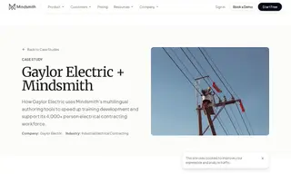 Preview of the Gaylor Electric Case Study