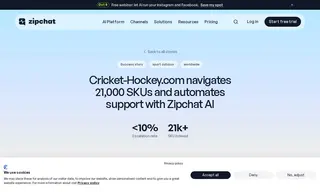 Preview of the Cricket-Hockey.com Case Study